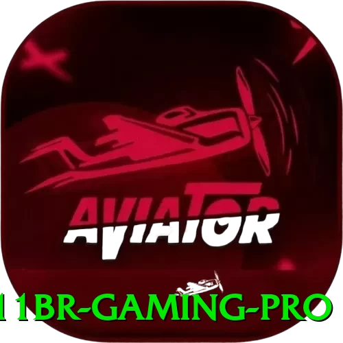 211br Gaming Pro - game
