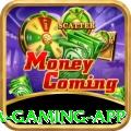 831bet Mega Gaming App